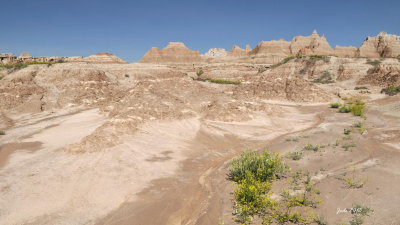 Jode2549_038recnivph.jpg