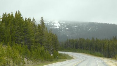 Jode2556_010recnivph.jpg