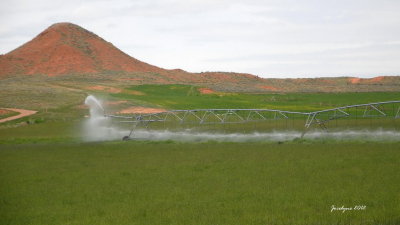 Jode2556_059recnivph.jpg