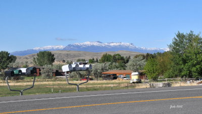 Jode2557_008recnivph.jpg
