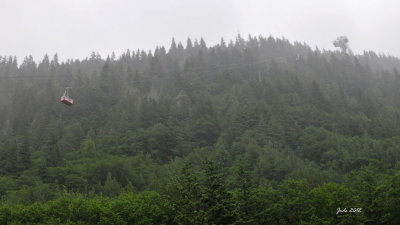Jode2594_101recnivph.jpg