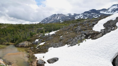 Jode2595_194recnivph.jpg