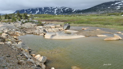 Jode2595_202recnivph.jpg