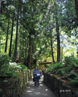 Jode2604_021recnivph.jpg
