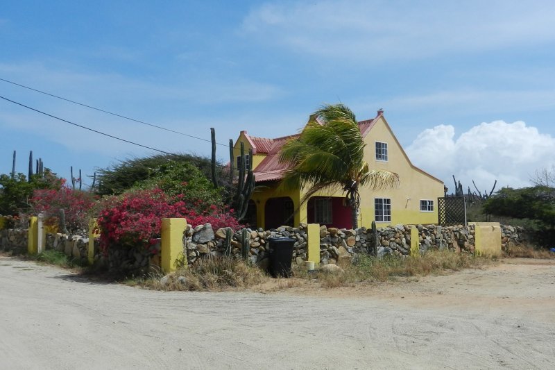 The houses on the island are colourful and well maintained