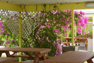 The lunch eating area, very pretty