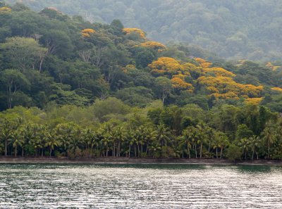 Sailing through the Golfo Dulce