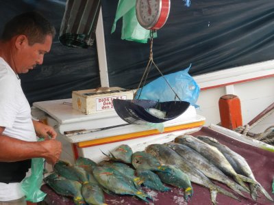 The colourful fish market