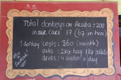 Some donkey facts on the board at the Donkey Sanctuary