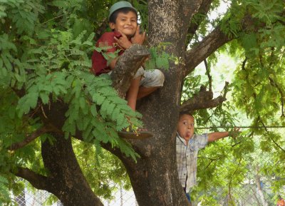 These two kids in the tree were hilarious!