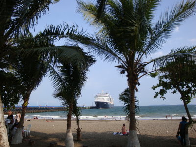 Our ship amidst the palm trees
