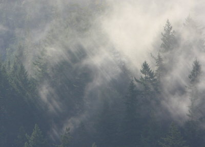 Up come the mists