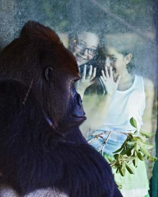 MIAMI ZOO.jpg