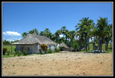 Bohio Cubano  -  Cuban hut