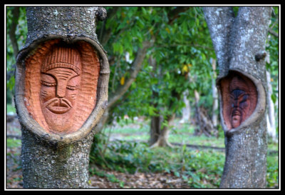 Figuras talladas en troncos  -  Sculptured trees