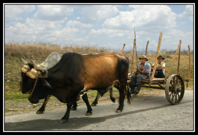 Carreta de Bueyes  -  Ox cart