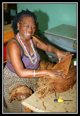 Tabaquera  -  Cigar maker