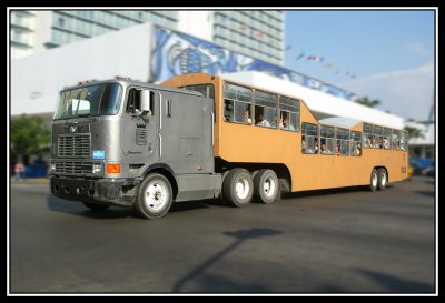 Autobus camello  -  Camel bus