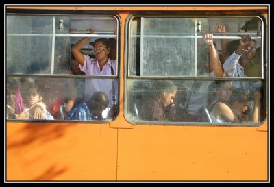 Autobus camello  -  Camel bus