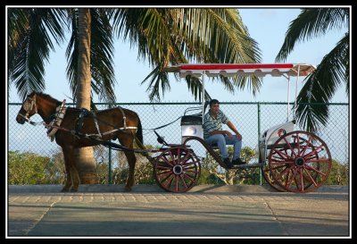 Coche de Caballos  -  Horse carriage