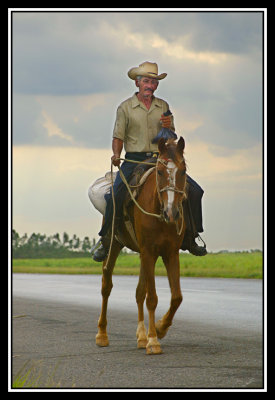 Jinete en la Autovia  -  Horseman on the Highway