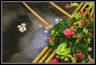 Arreglo de flores  -  Floral arrangement