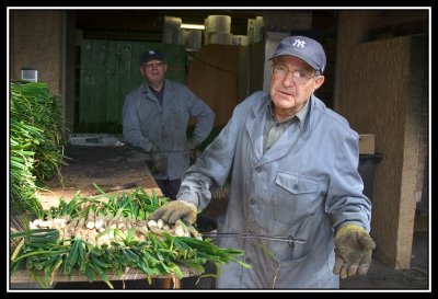 Los abuelos cocineros de calots  -  Elder cooking onions