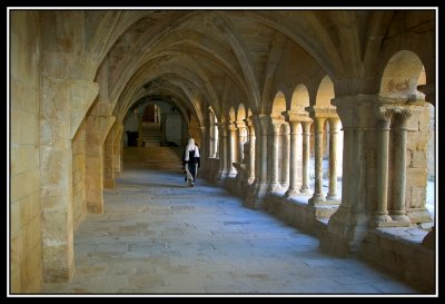 Claustro de Santa Maria de Vallbona  -  Cloister Santa Maria de Vallbona