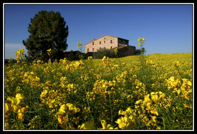 Masia - Farmhouse