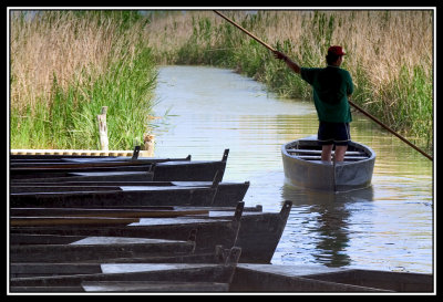 Barquero  -  Boatman