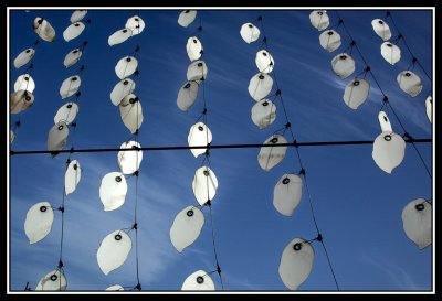 Hojas en el Forum  -  Leaves on the Forum