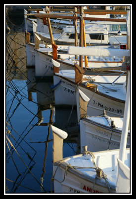 Barcas  -  Boats