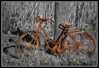 Bicicleta oxidada  -  Rusty bicycle