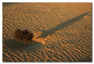 Dunas  -  Sand Dunes