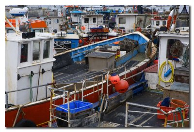 Puerto pesquero - Fishing port