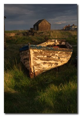 Barca abandonada - Derelict boat