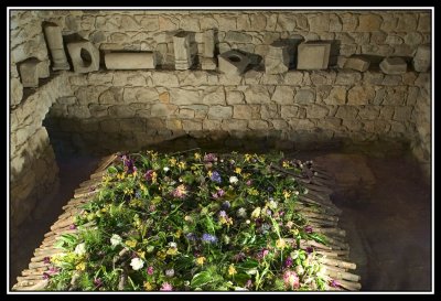 Arreglo de flores - Floral arrangement