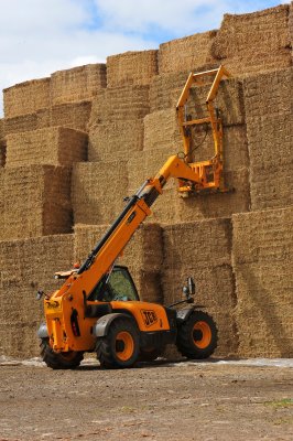 Farming