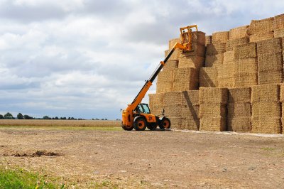 Farming