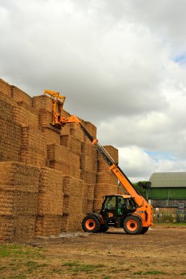 Farming