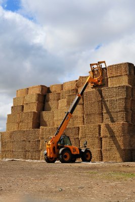 Farming