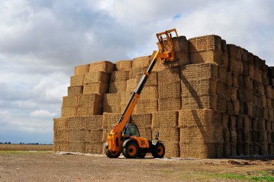 Farming