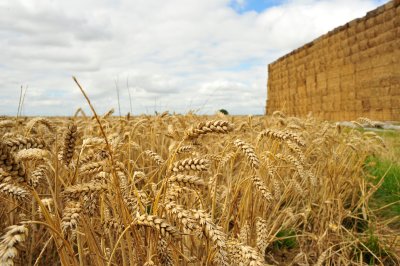 Farming