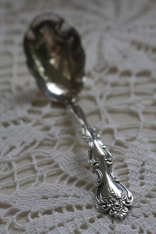 Jennie's Sugar Spoon