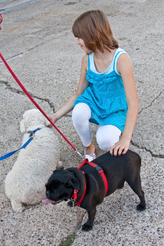 Dog lover...