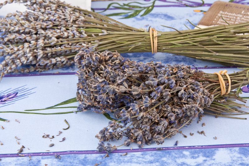 Ahhh... the sweet smell of lavender!