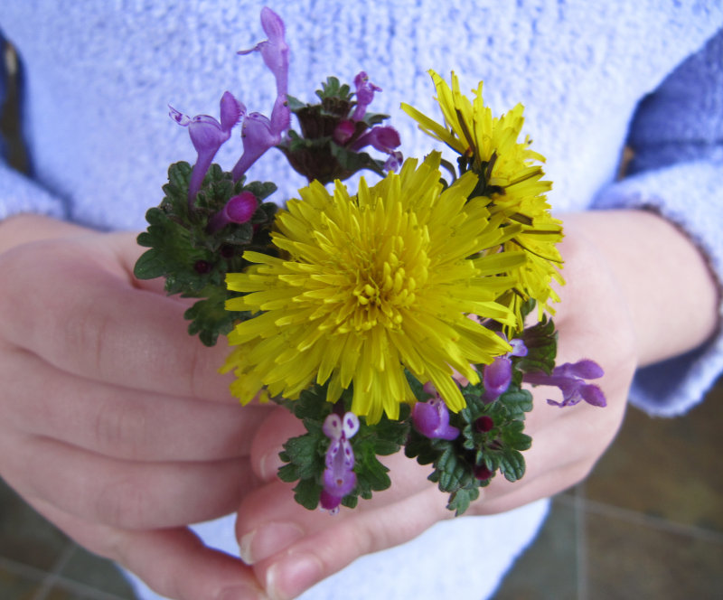 Le Petit Bouquet
