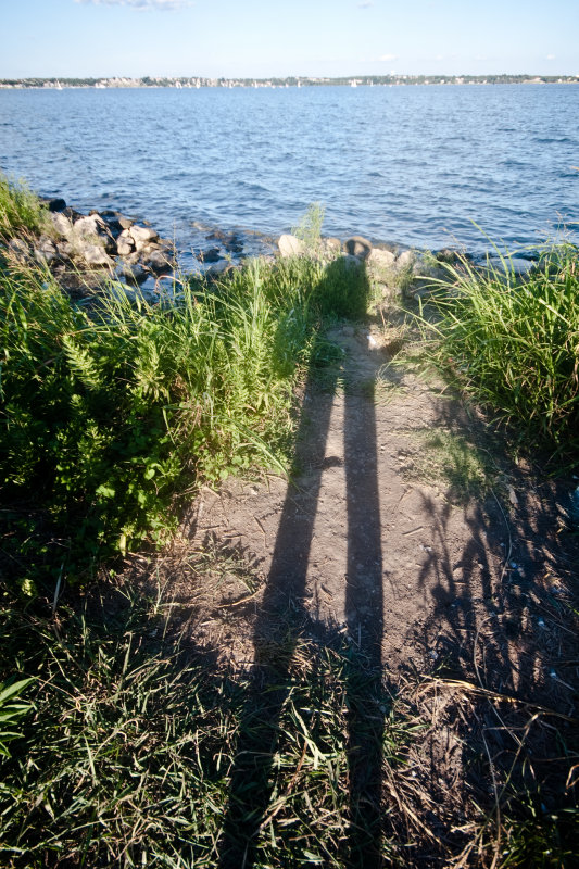 Lala Longlegs