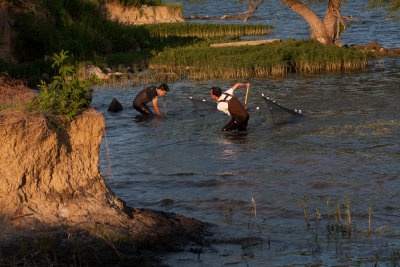 Hauling in the net...