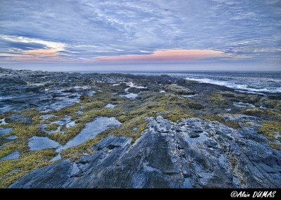 Cape Elizabeth, ME